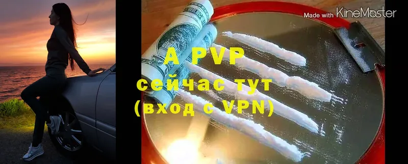 Alfa_PVP СК КРИС Северск